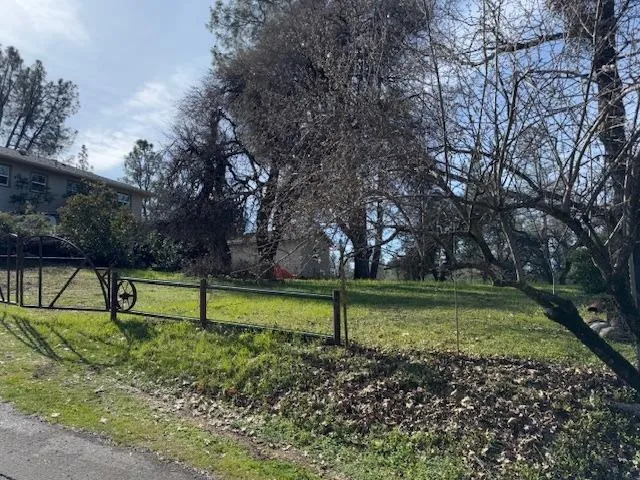 a view of backyard with green space