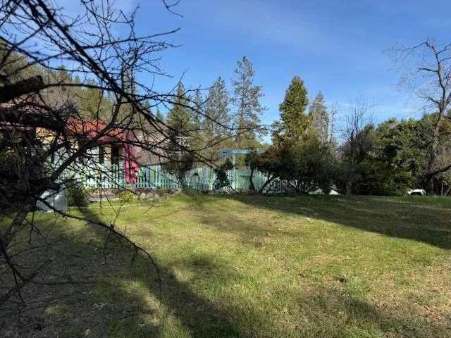 a view of a yard in front of the house