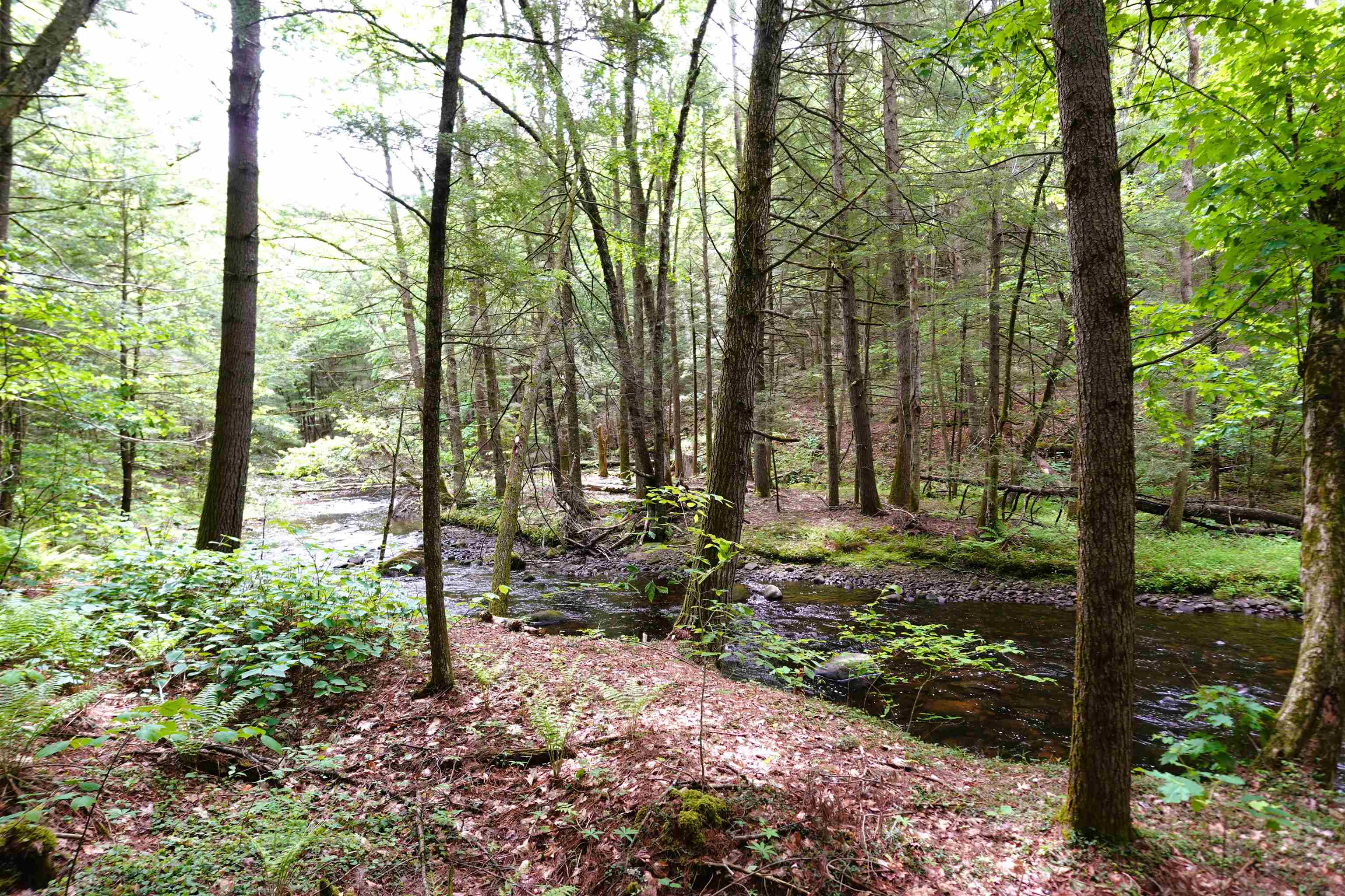 525 Richmond Road Winchester, NH 03470 - Photo 16 of 29