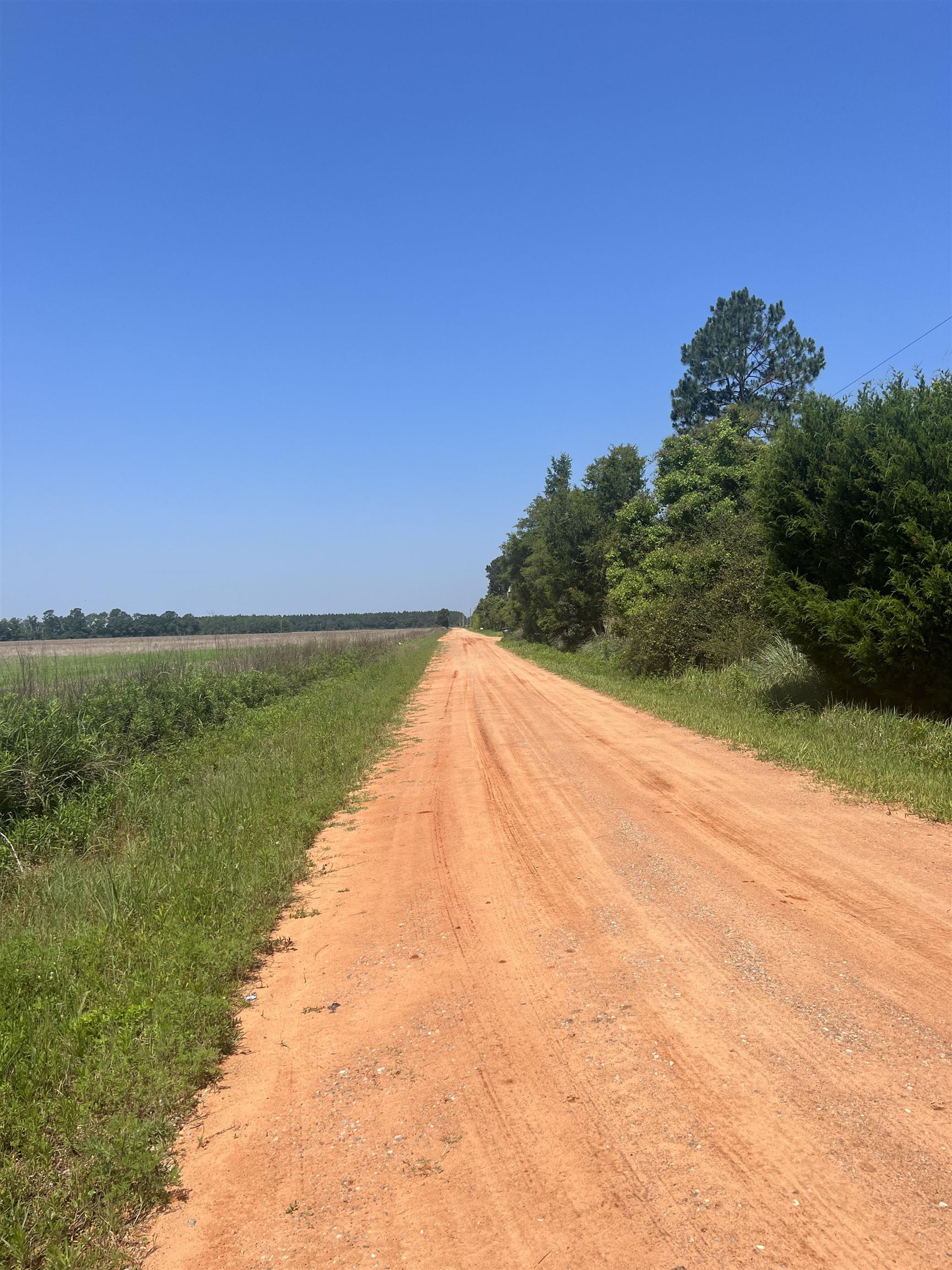 0 Cactus Court Elberta, AL 36530 - Photo 11 of 24
