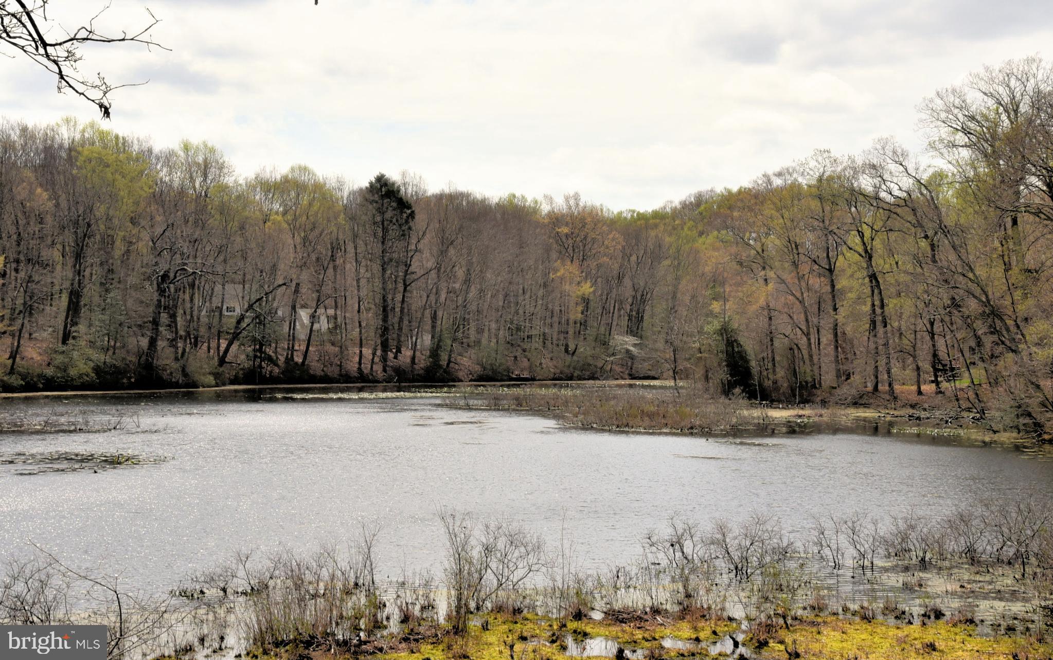 12445 Woods Road Worton, MD 21678 - Photo 16 of 18 Gallery Image 16