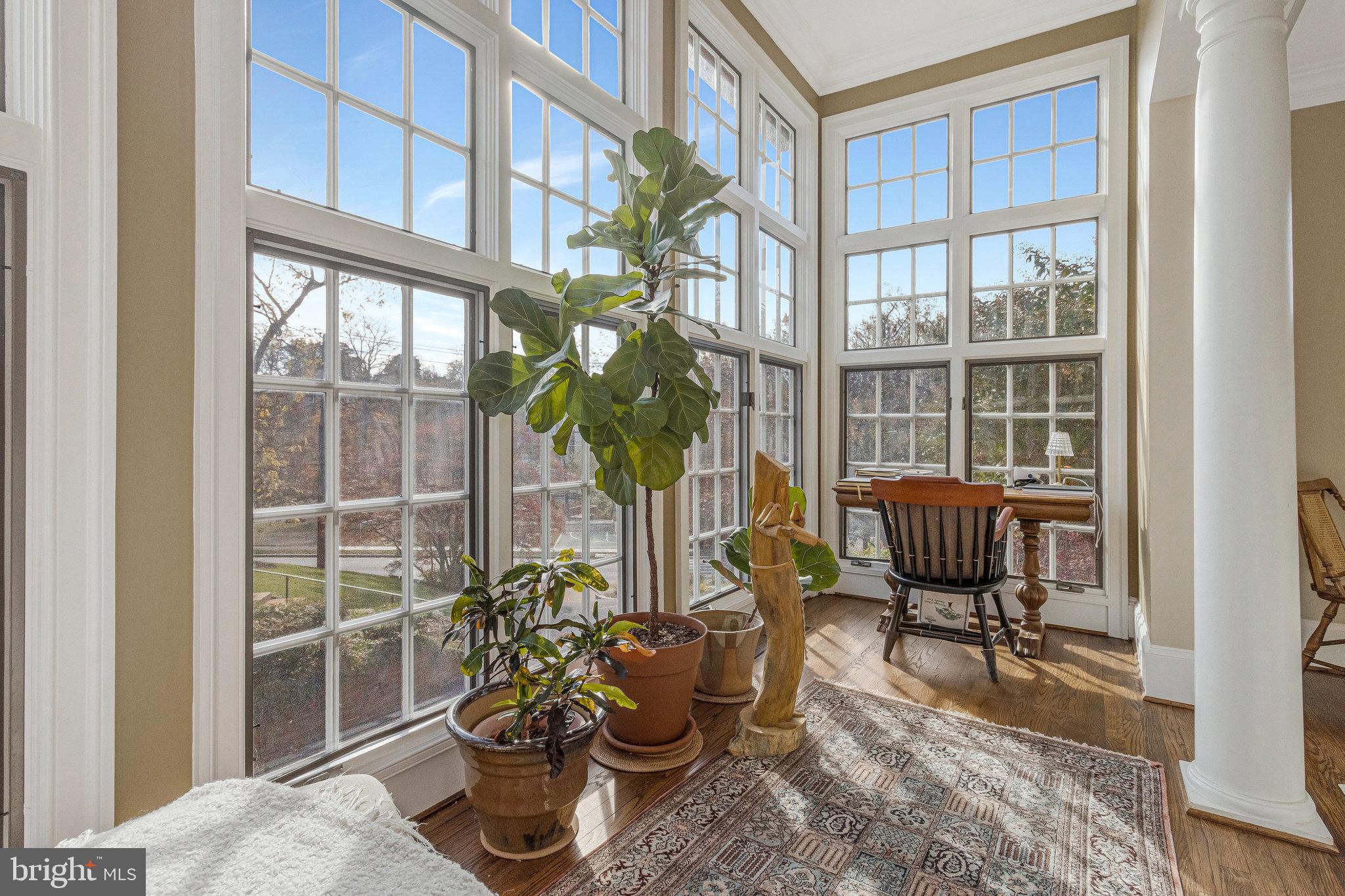 1655 Kalmia Road Northwest Washington, DC 20012 - Photo 11 of 71 Sunlit corner with lush greenery and views.