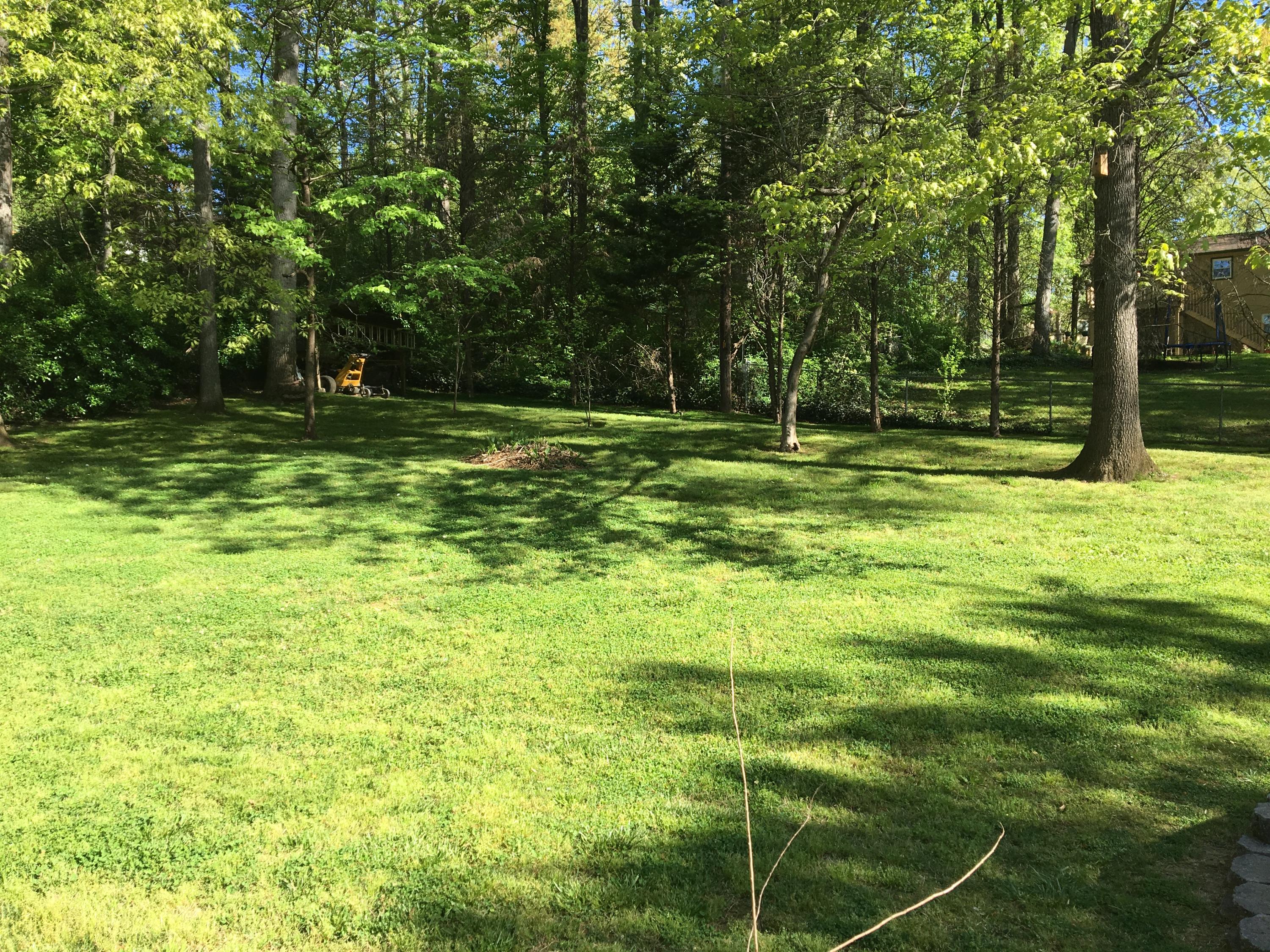 7828 Ashley Road Powell, TN 37849 - Photo 17 of 31 Back Yard
