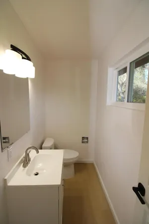 a view of a yard with plants