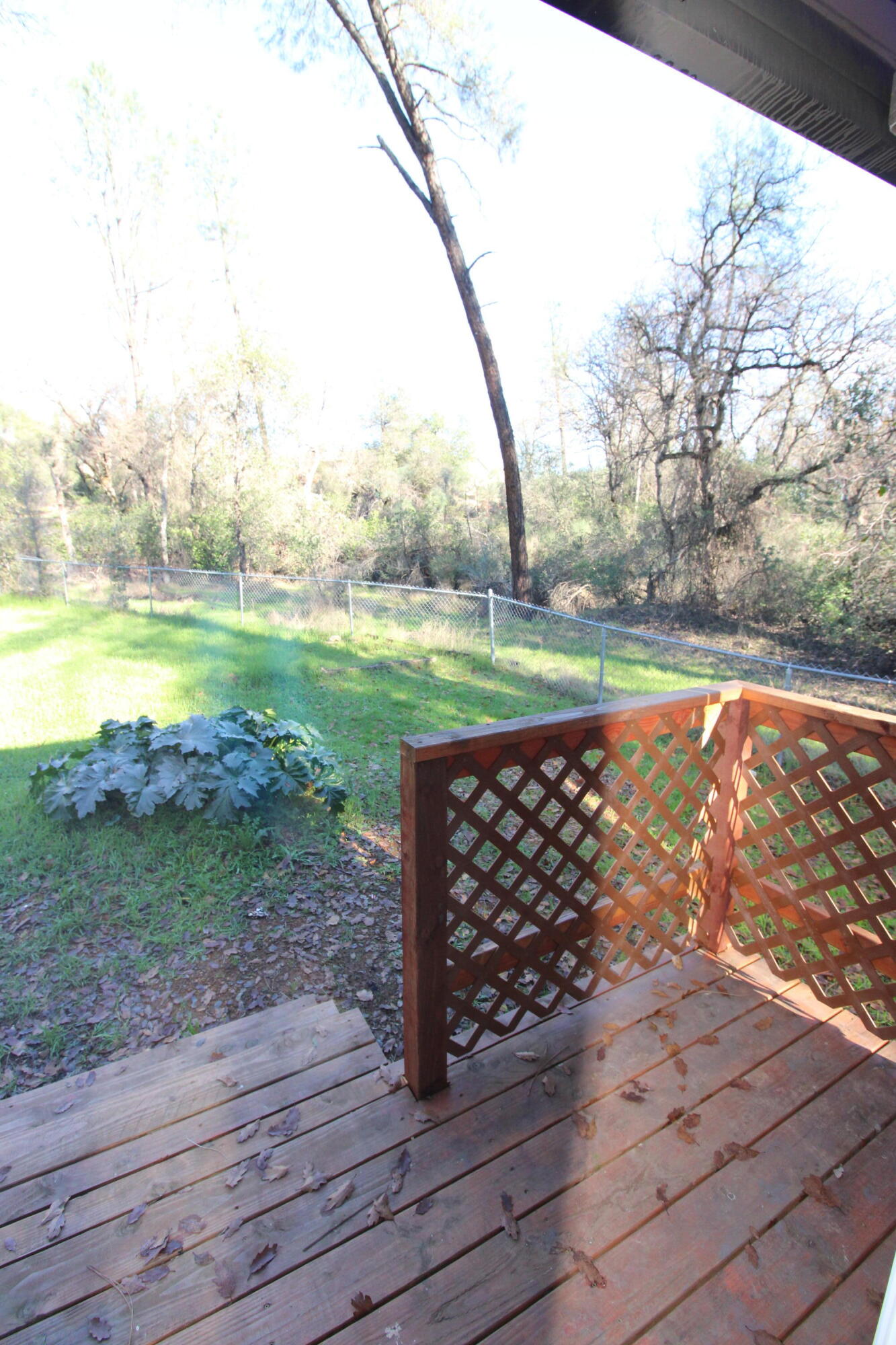 3170 Quartz Hill Road Redding, CA 96003 - Photo 44 of 68 looking out the slider from primary