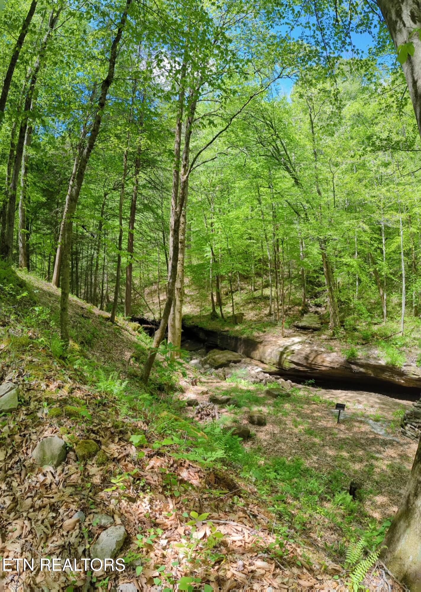 Cherokee Path Jamestown, TN 38556 - Photo 2 of 14 2