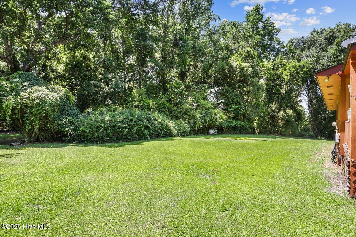 226 Carrolls Road Warsaw, NC 28398 - Photo 4 of 23