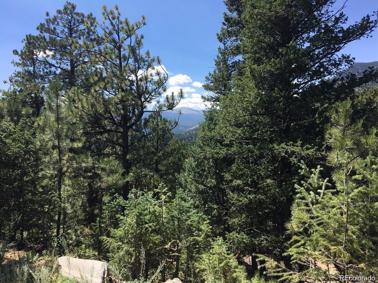 83 Conifer Drive Evergreen, CO 80439 - Photo 1 of 8 Looking west from the roughed in driveway to Mt. Evans.
