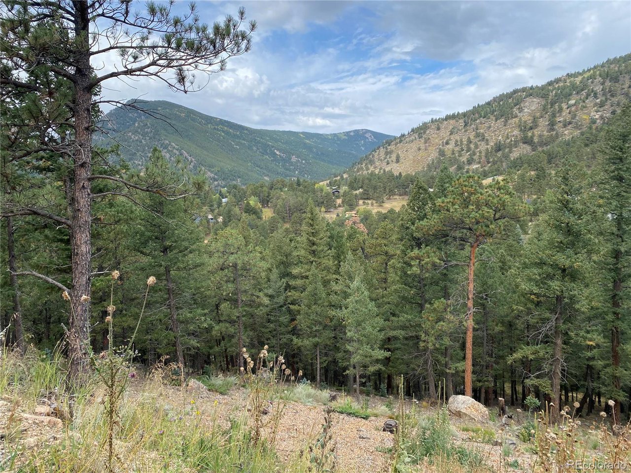 83 Conifer Drive Evergreen, CO 80439 - Photo 4 of 8 Looking southwest from the lot.