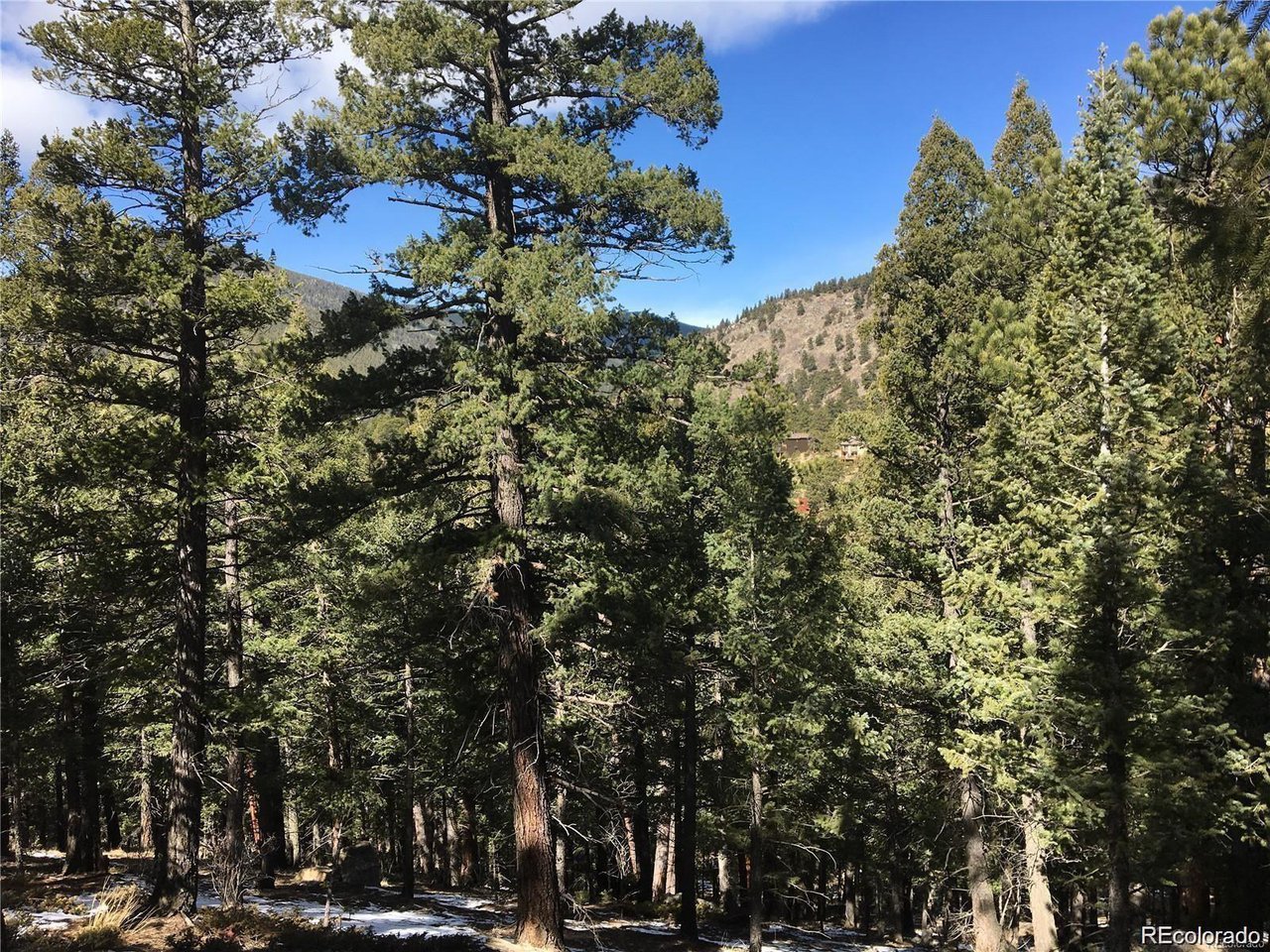 83 Conifer Drive Evergreen, CO 80439 - Photo 8 of 8 Beautiful views everywhere you look.