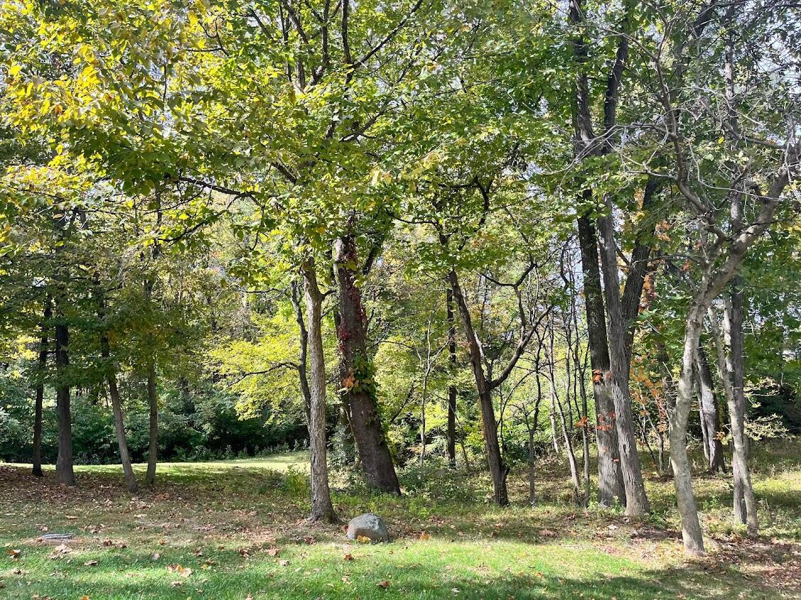 3227 Oak Spring Street Columbus, OH 43219 - Photo 12 of 16 3227 wooded lot