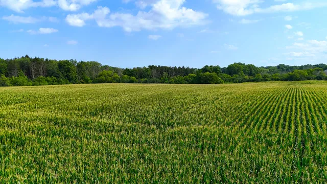 $279,900 | 3 3 Mile Road, Caledonia, WI 53406