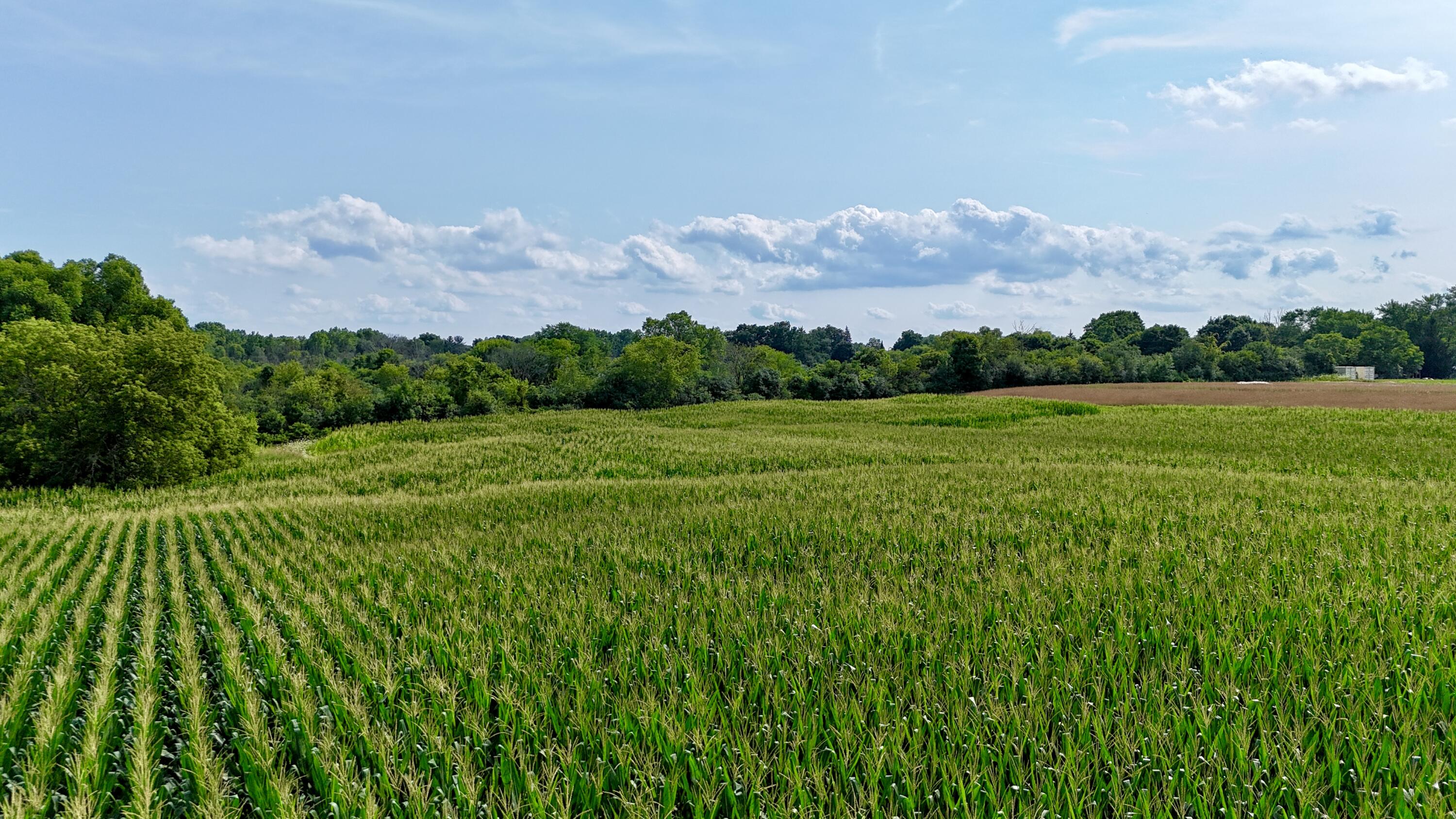 3 3 Mile Road Caledonia, WI 53406 - Photo 4 of 6 SW