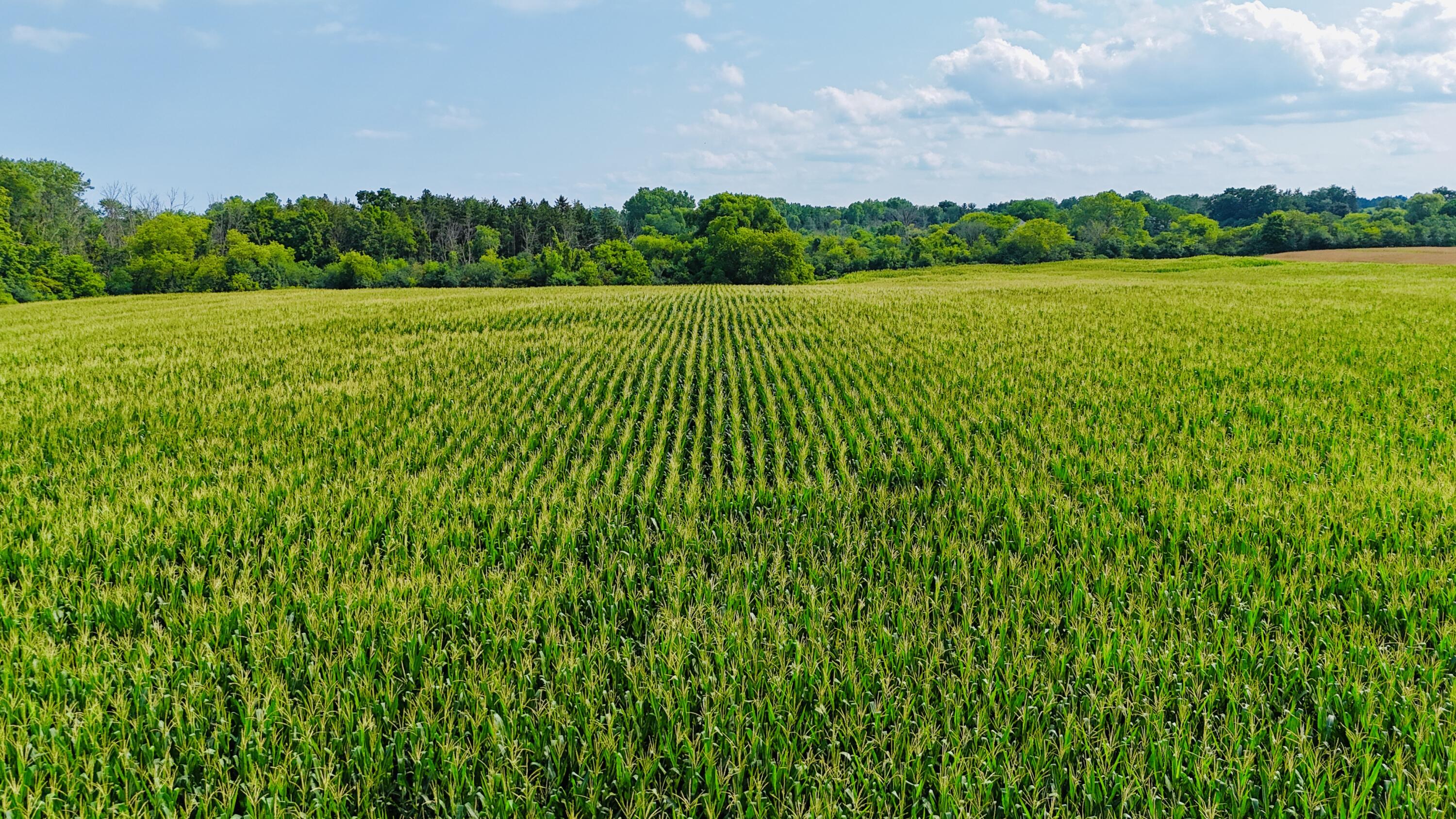 3 3 Mile Road Caledonia, WI 53406 - Photo 5 of 6 S