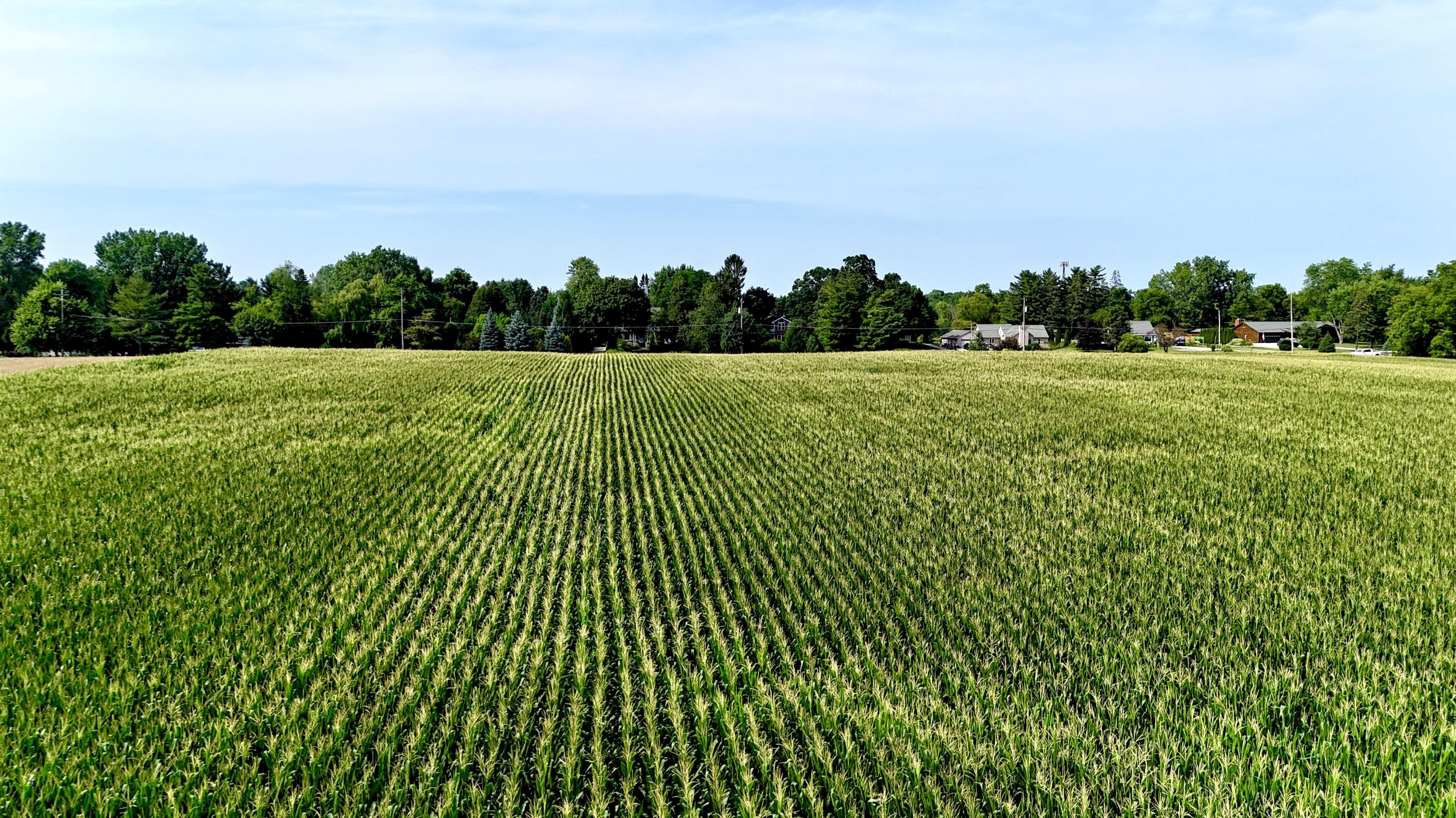 3 3 Mile Road Caledonia, WI 53406 - Photo 6 of 6 N
