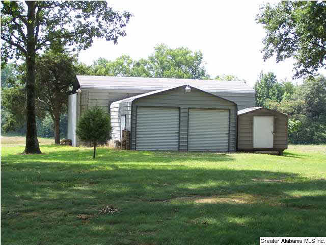 2066 Zion Hill Road Horton, AL 35980 - Photo 7 of 32