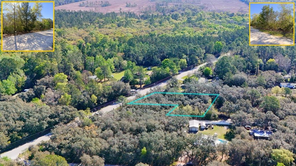 Tbd Tbd Corner Northeast Citra, FL 32113 - Photo 5 of 10 a view of a garden with a building in the background