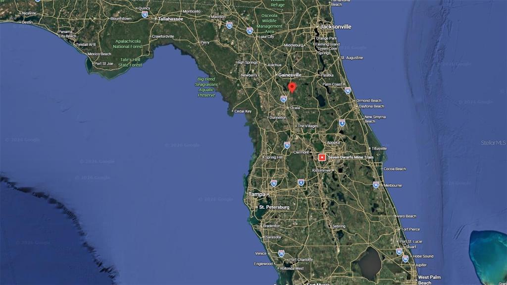 Tbd Tbd Corner Northeast Citra, FL 32113 - Photo 7 of 10 a plant that is in a garden