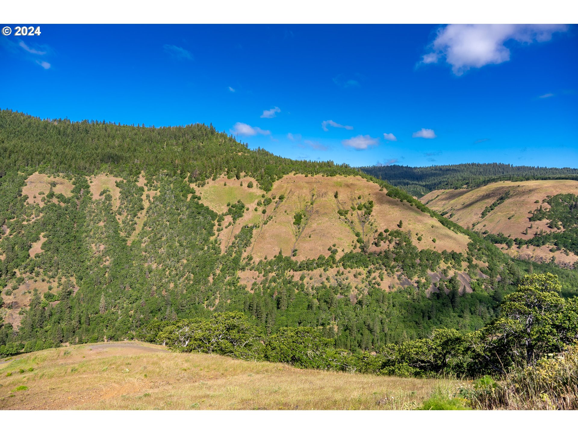 Suz Ridge Road Lyle, WA 98635 - Photo 15 of 40 Gallery Image 15