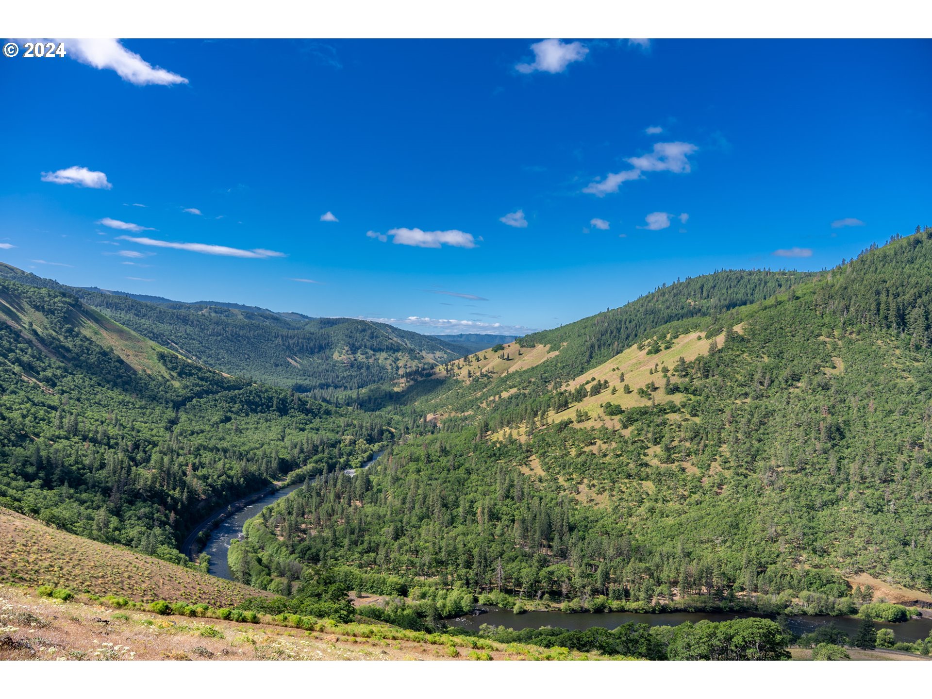 Suz Ridge Road Lyle, WA 98635 - Photo 17 of 40 Gallery Image 17