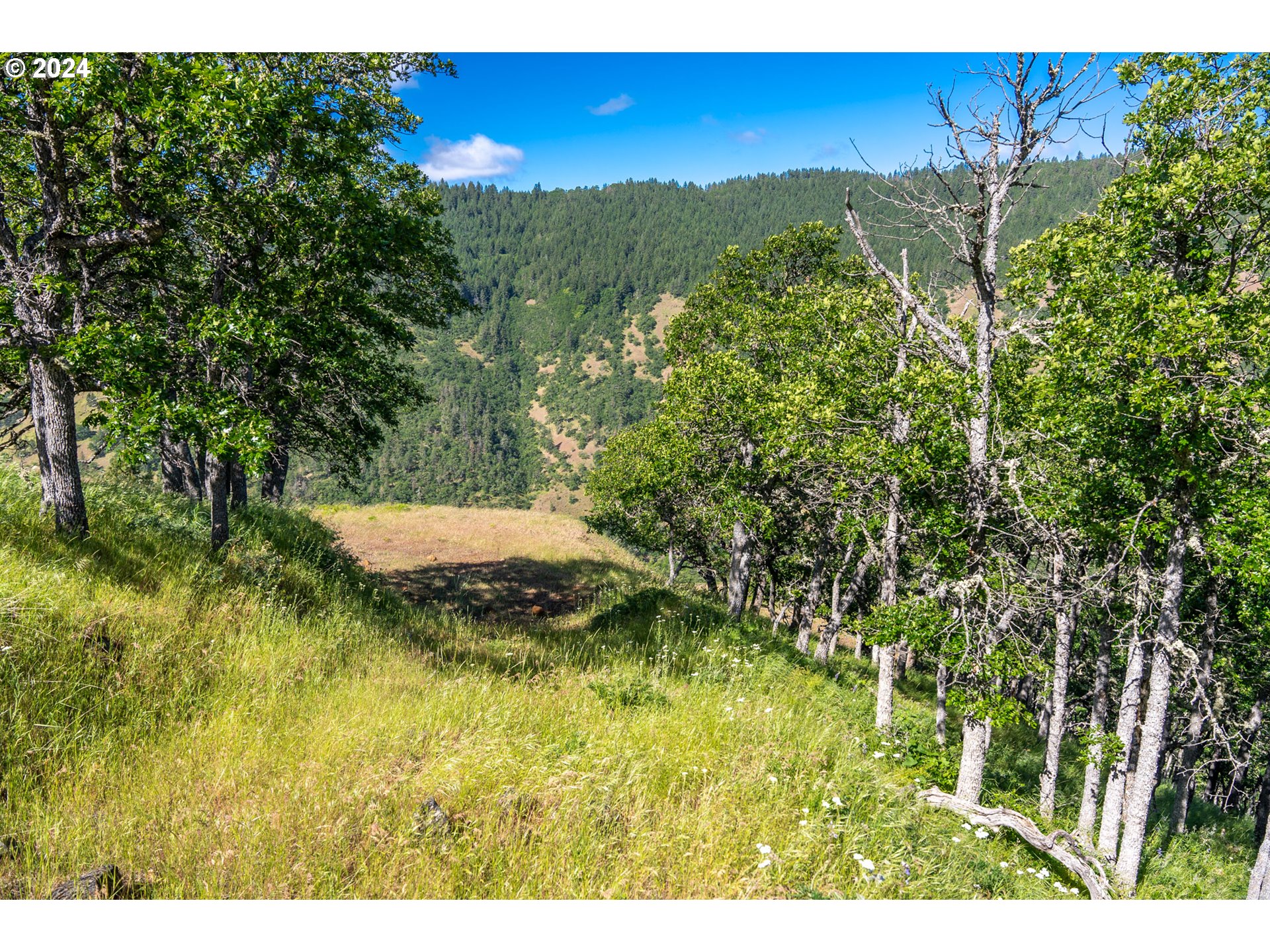 Suz Ridge Road Lyle, WA 98635 - Photo 26 of 40 Gallery Image 26