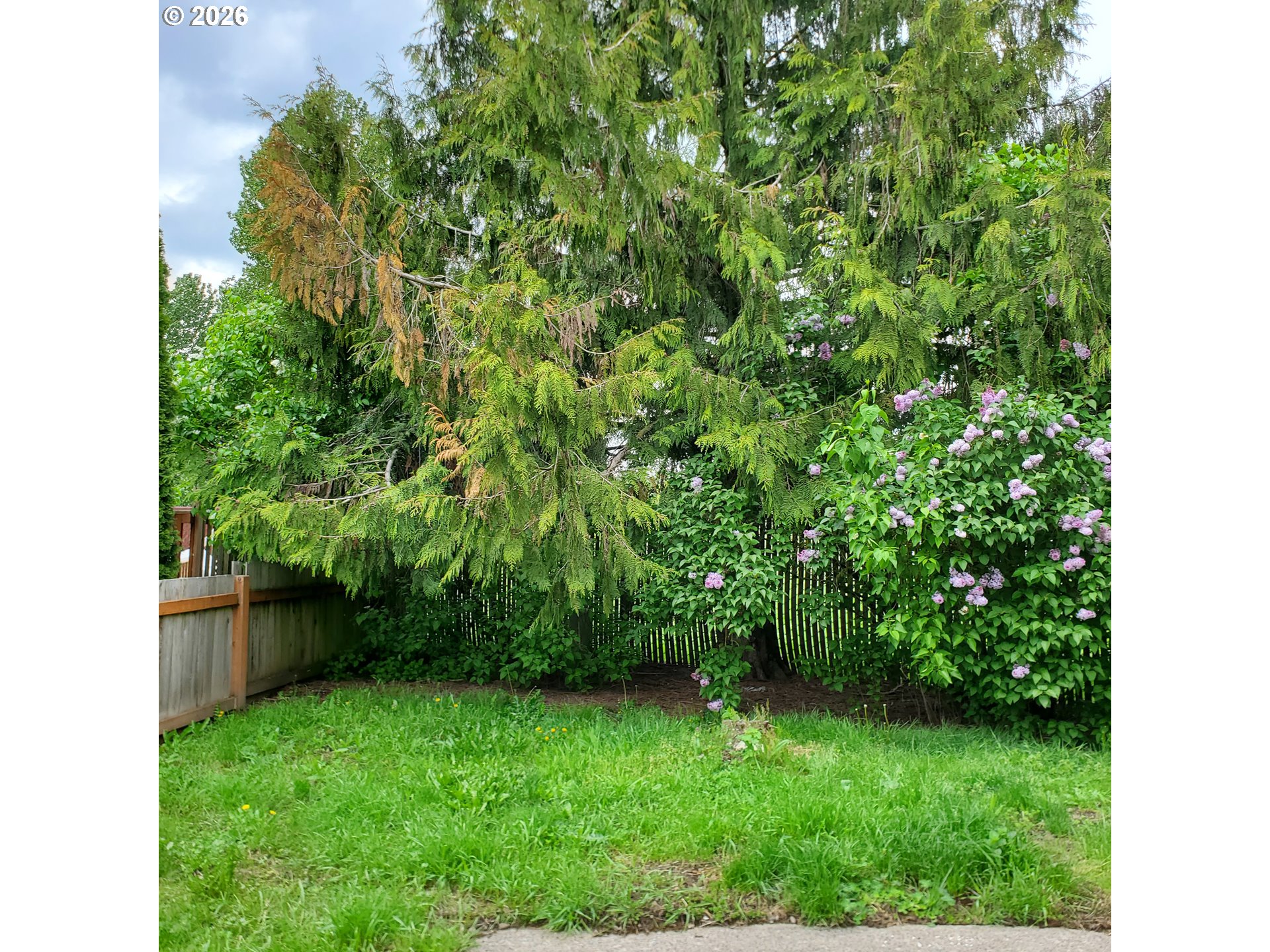 3950 Coburg Road, Unit 83 Eugene, OR 97408 - Photo 13 of 14