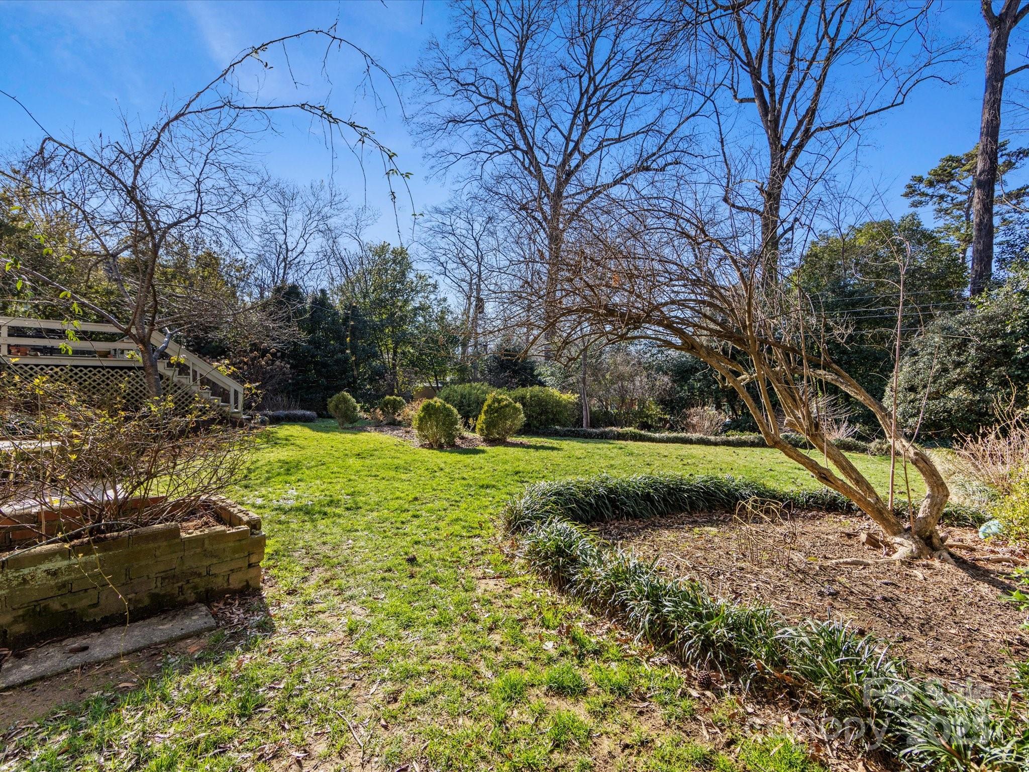 555 Manning Drive, Unit 7 Charlotte, NC 28209 - Photo 44 of 45 a view of a backyard with large trees