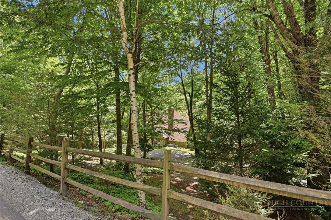 179 Hornbeam Road Beech Mountain, NC 28604 - Photo 45 of 46