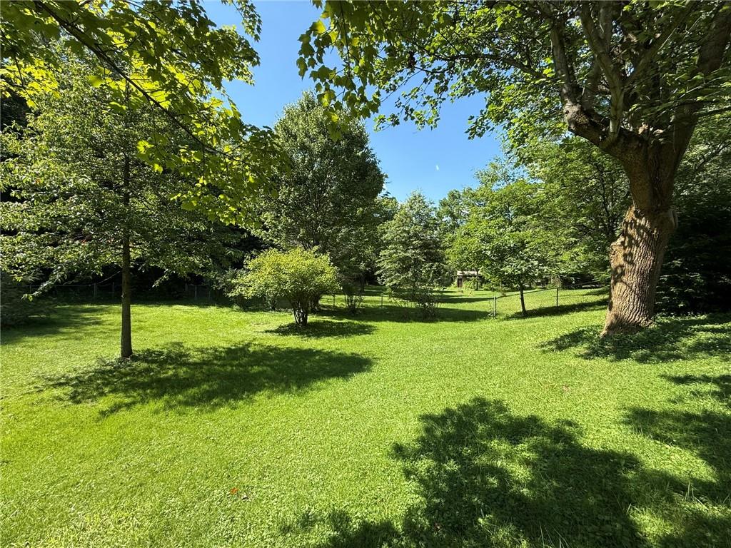 960 Watt Road Apollo, PA 15613 - Photo 7 of 24 a view of a tree in a park