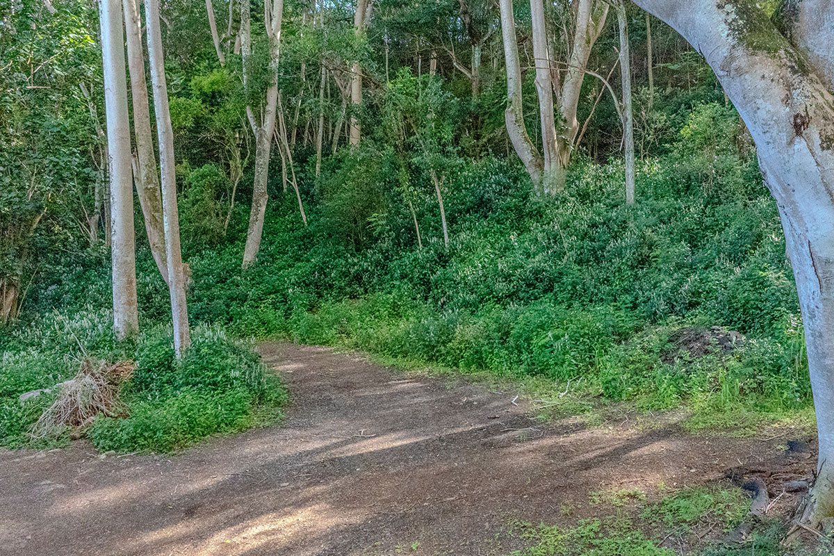 3310 Wawae Road Kalaheo, HI 96741 - Photo 16 of 30