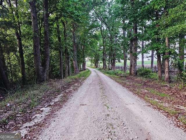 0 Huff Road, Unit TRACT 1 Roopville, GA 30170 - Photo 4 of 5