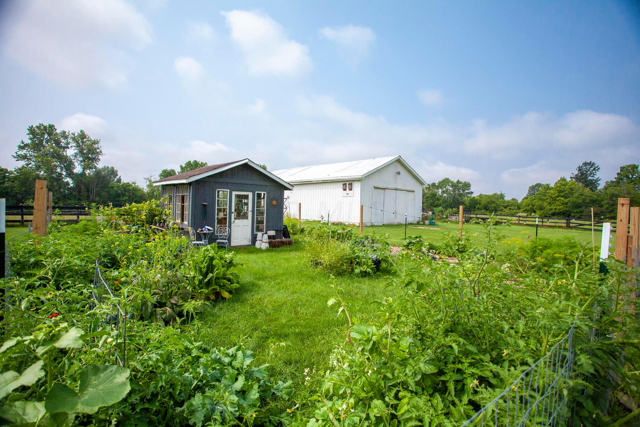 4979 Nickelson Road Prospect, OH 43342 - Photo 6 of 68 Garden and potting shed with Barn in background