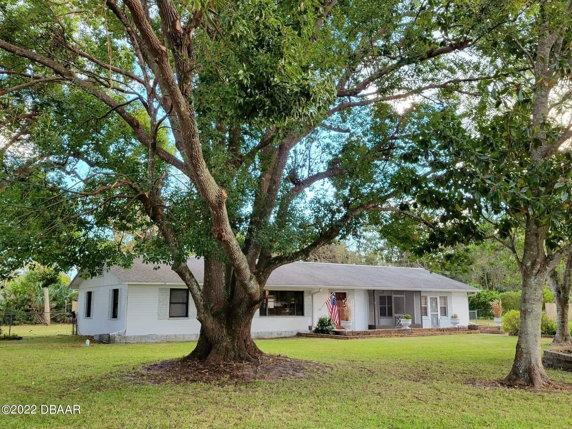 519 Big Tree Road South Daytona, FL 32119 - Photo 2 of 28 The trees