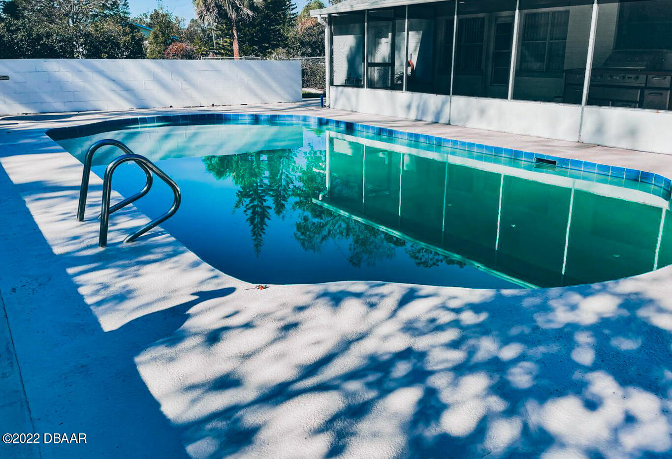 519 Big Tree Road South Daytona, FL 32119 - Photo 5 of 28 Gorgeous pool