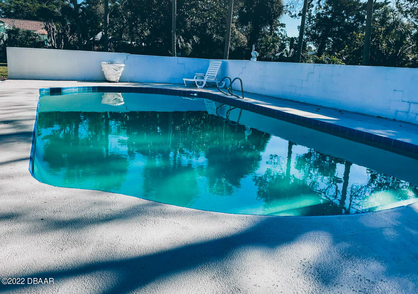 519 Big Tree Road South Daytona, FL 32119 - Photo 6 of 28 Gorgeous pool 2