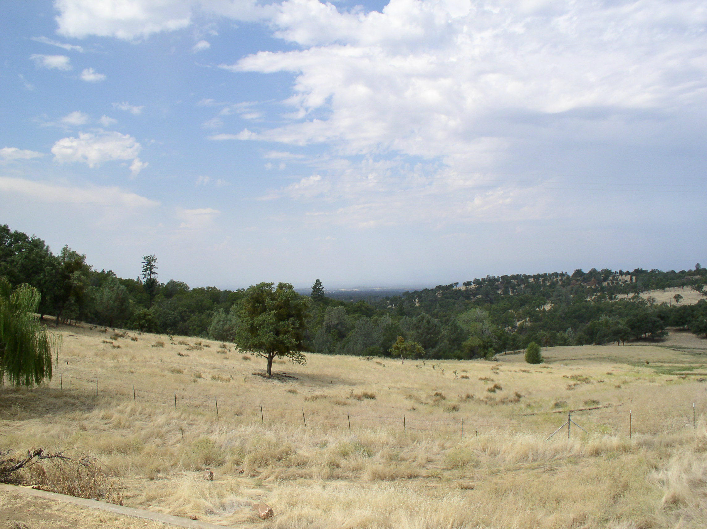 12318 Fern Road Whitmore, CA 96096 - Photo 14 of 34 View One