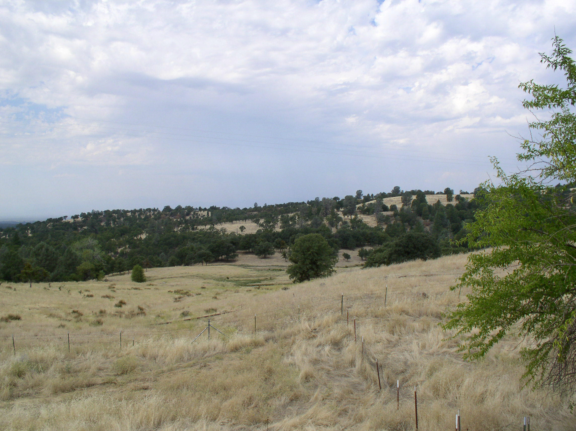 12318 Fern Road Whitmore, CA 96096 - Photo 15 of 34 View Two
