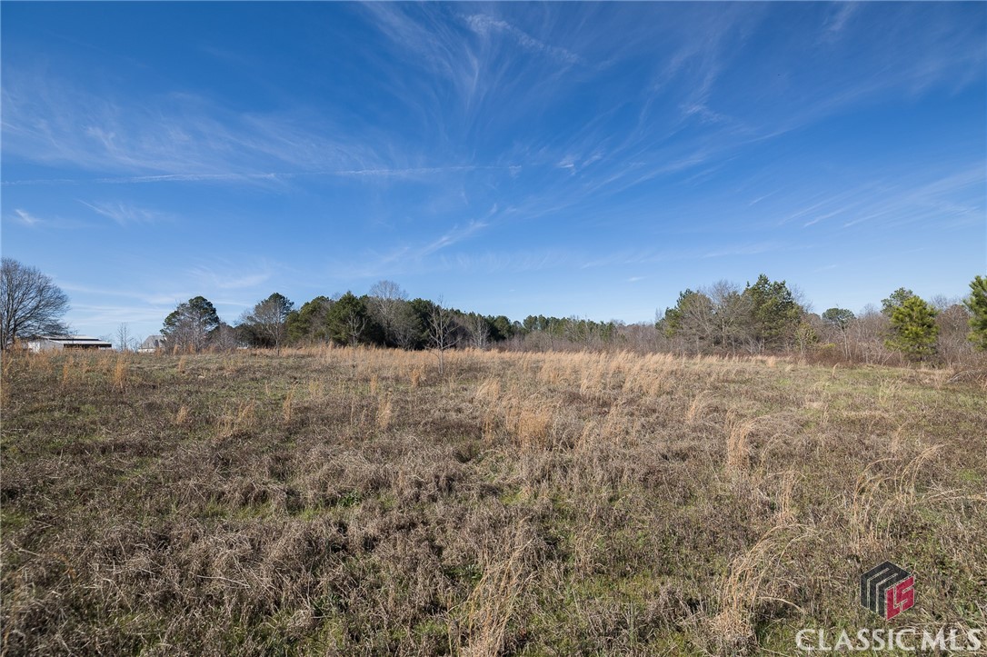 Tract5 A B Martin Road Good Hope, GA 30641 - Photo 16 of 21