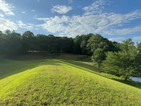 1790 Lipscomb Lake Road Pendergrass, GA 30567 - Photo 66 of 75 Gallery Image 66