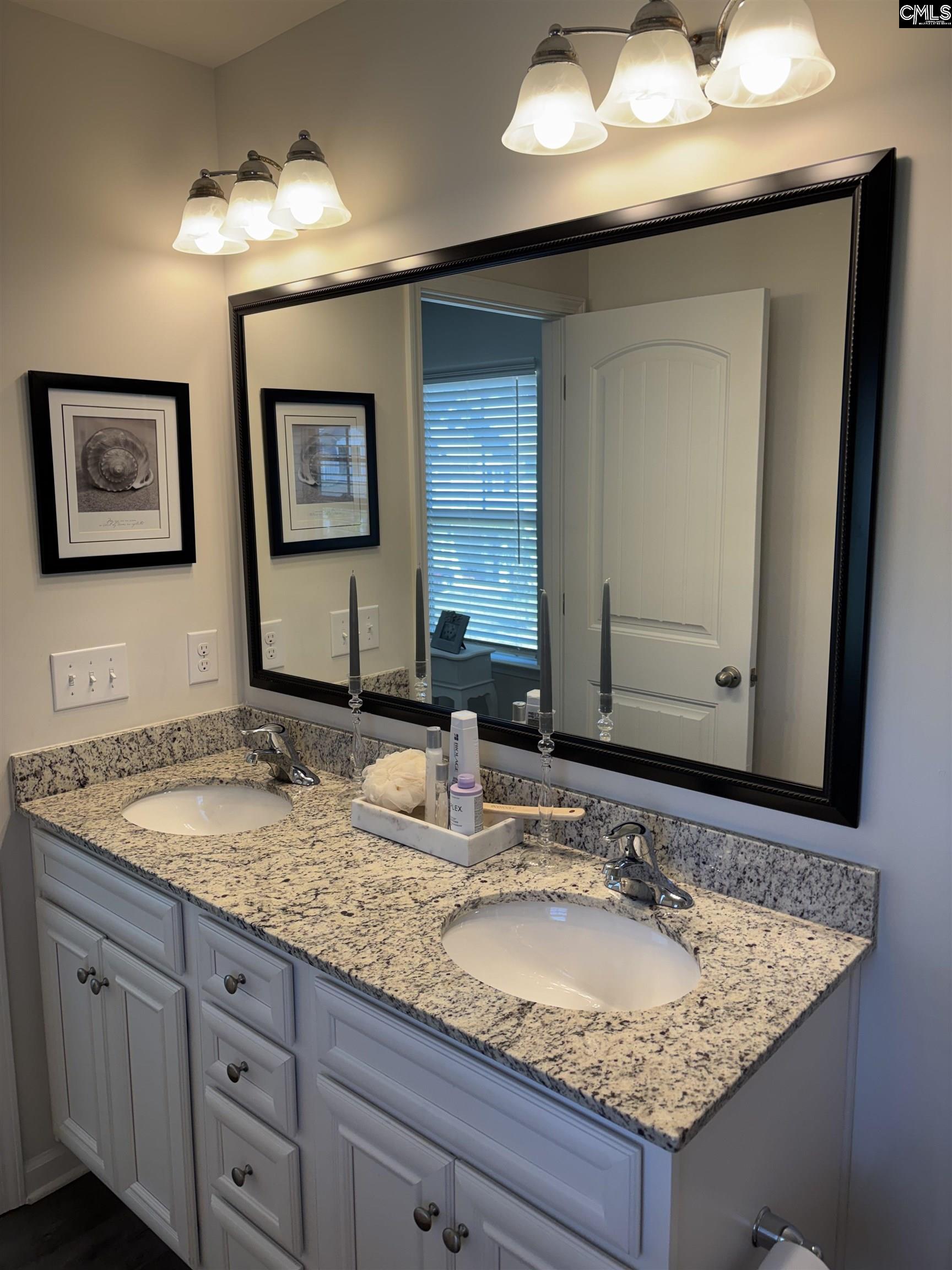 154 Wahoo Circle Irmo, SC 29063 - Photo 11 of 43