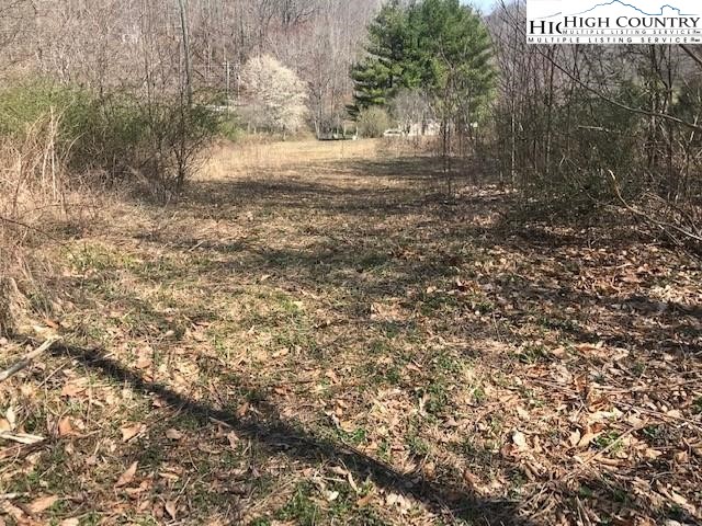 Peak Road Creston, NC 28615 - Photo 2 of 9 Gallery Image 2