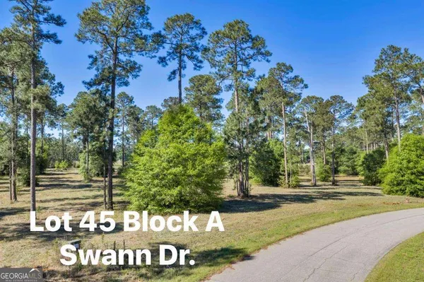 $22,900 | Tbd Swann Dr Lot 45 Block A, Cordele, GA 31015