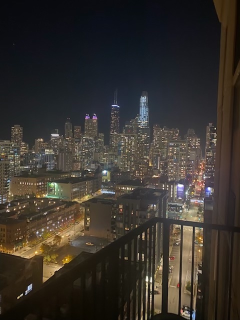 435 West Erie Street, Unit 2204 Chicago, IL 60654 - Photo 18 of 22