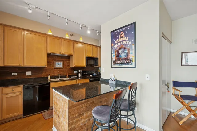 $2,500 | 435 West Erie Street, Unit 2204, Chicago, IL 60654