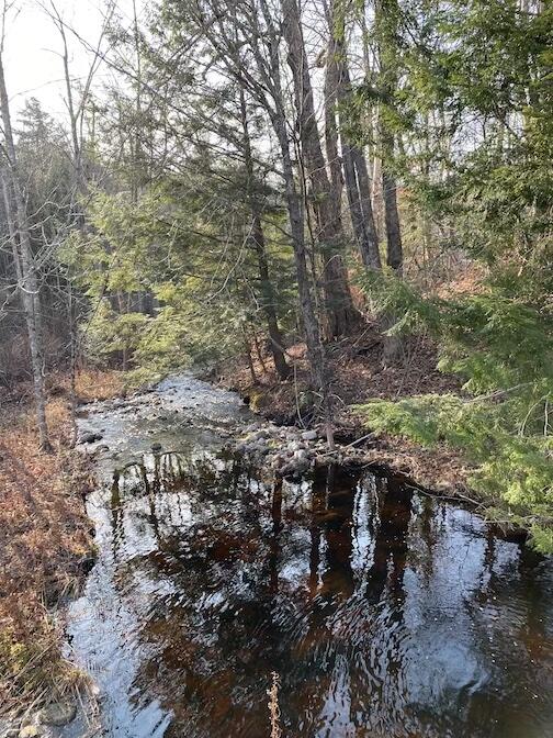 144 Halldale Road Montville, ME 04941 - Photo 29 of 32 Bog Brook on subject property