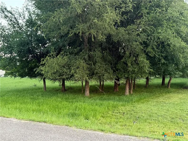 $13,000 | 6 Blue Roan Drive, Morgan's Point Resort, TX 76513