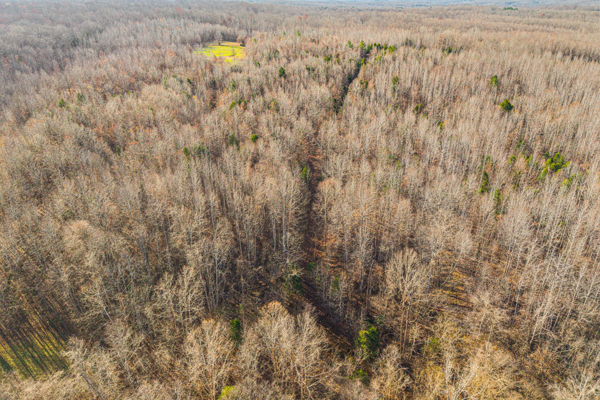 96 Ramery Road Cumberland City, TN 37050 - Photo 11 of 15