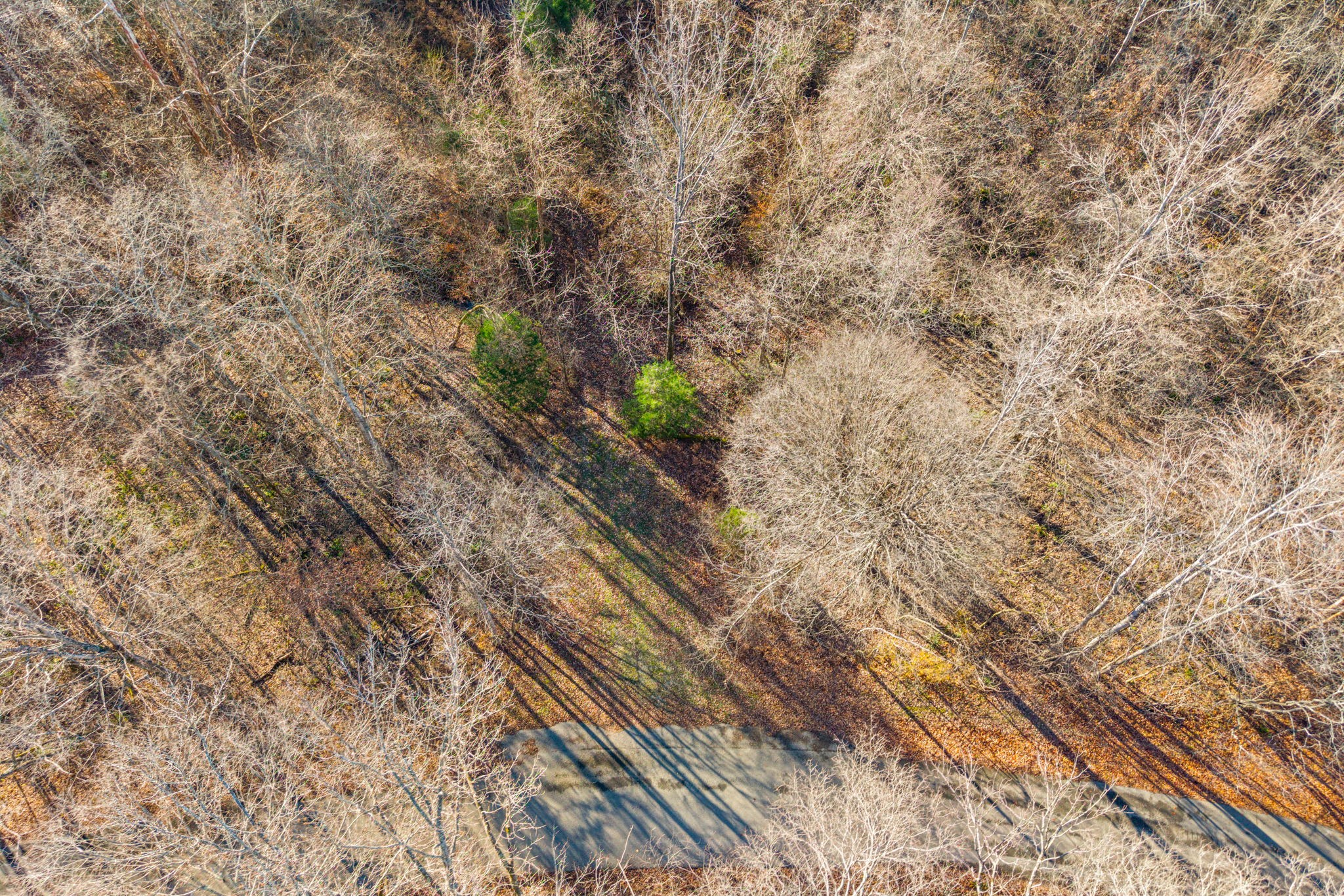 96 Ramery Road Cumberland City, TN 37050 - Photo 12 of 15