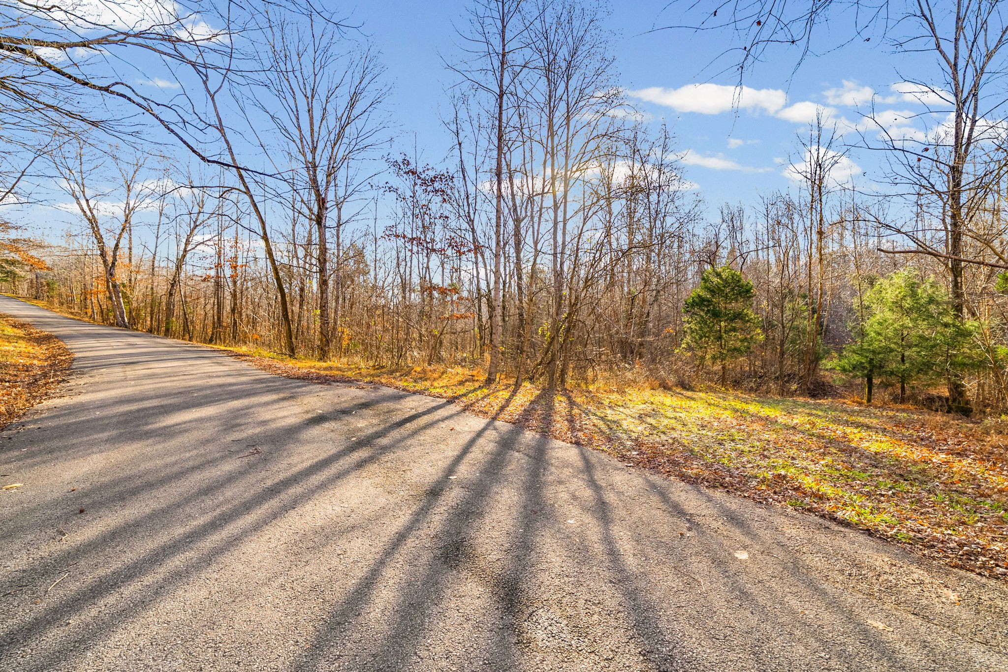 96 Ramery Road Cumberland City, TN 37050 - Photo 13 of 15