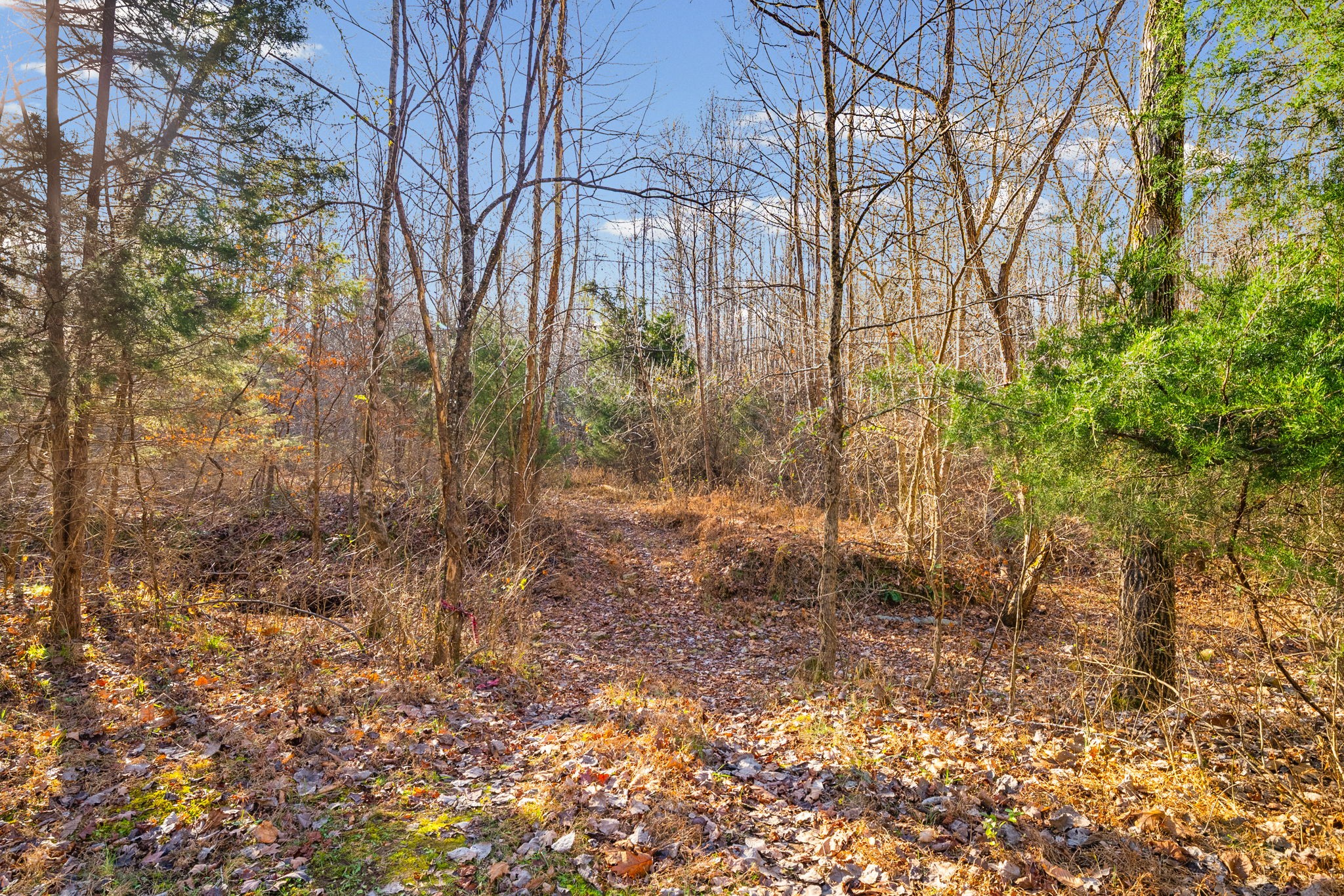 96 Ramery Road Cumberland City, TN 37050 - Photo 14 of 15